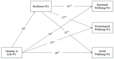 A Longitudinal Examination of the Association Between Meaning in Life, Resilience, and Mental Well-Being in Times of Coronavirus Pandemic